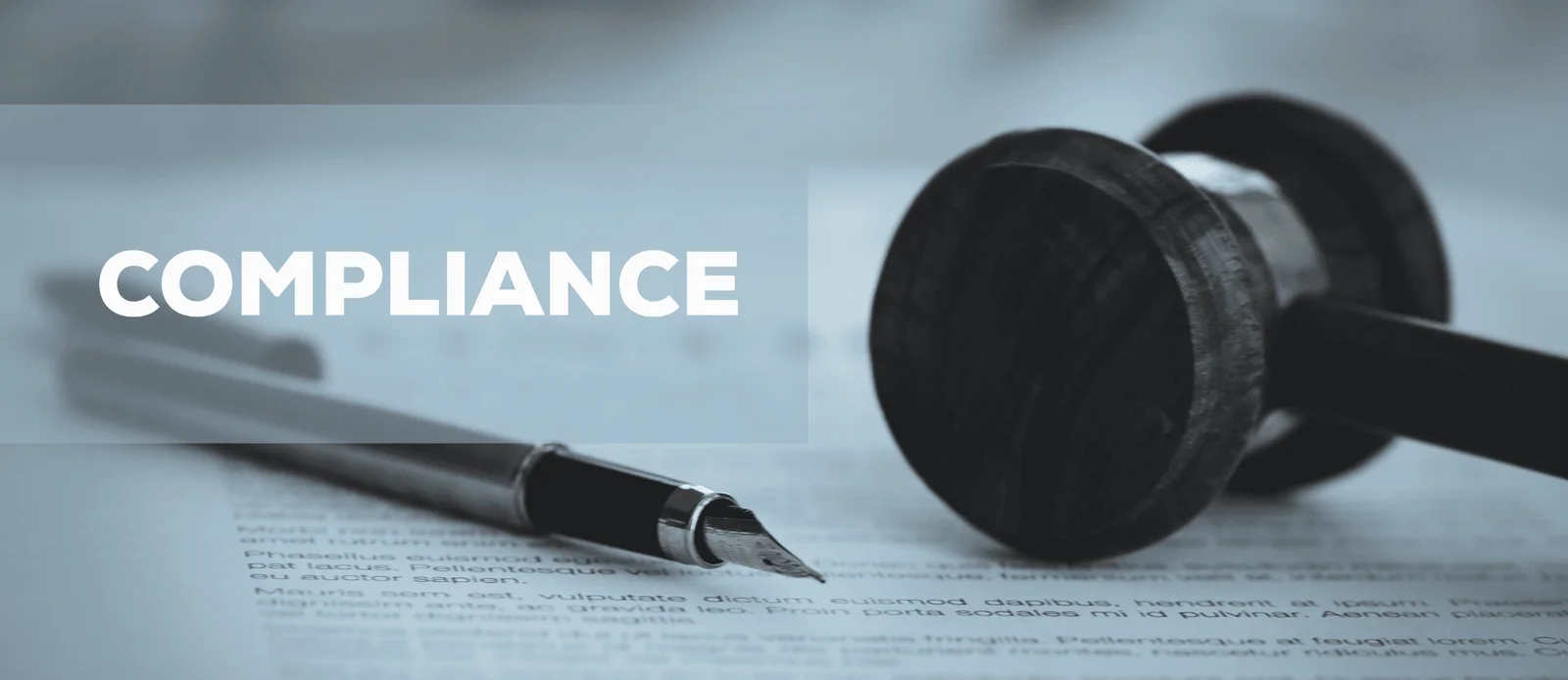 How to Stay Compliant with Government Regulations in India